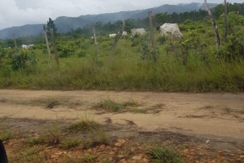 PL0010-farm-land-along-access-road-800x0-c-center