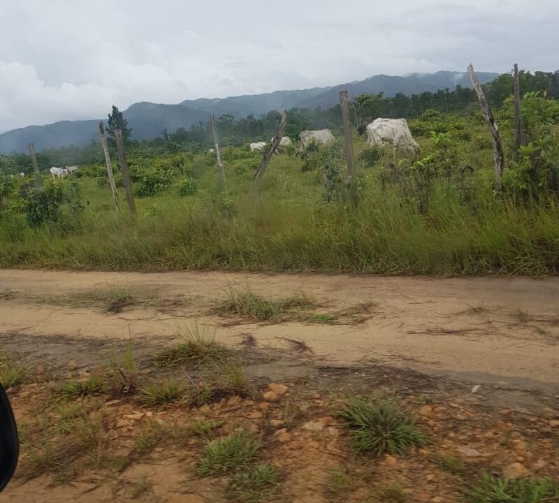 PL0010-farm-land-along-access-road-800x0-c-center
