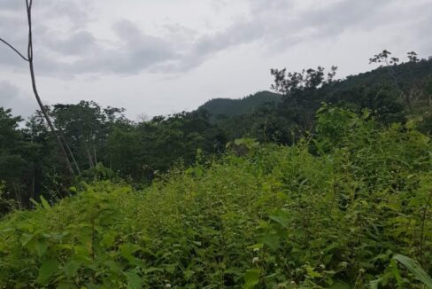 PL0010-mountain-view-on-trail-800x0-c-center