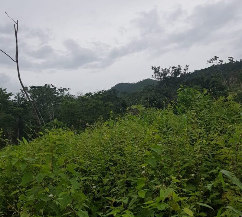 PL0010-mountain-view-on-trail-800x0-c-center