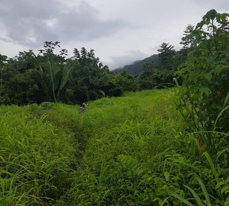 PL0010trail-to-waterfall-800x0-c-center