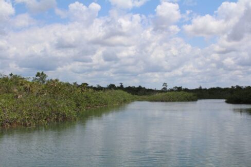PL0015-Mangrove-Protection-Barrier-scaled-800x0-c-center