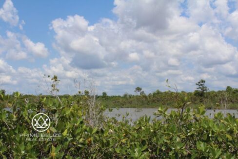 PL0015-Marina-Basin-scaled-800x0-c-center