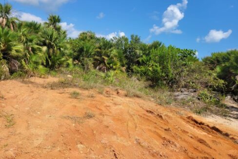PL0029-Lot-ground-view-800x0-c-center