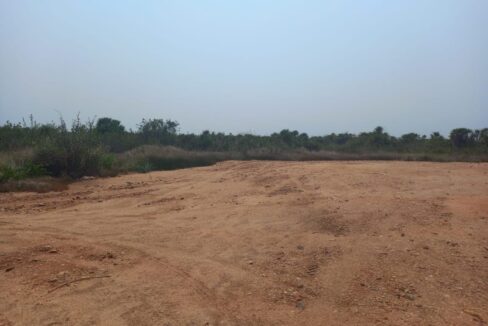 PL0029-Lot-view-800x0-c-center