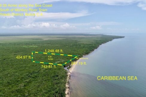 PL0034-Monkey-River-10-Acres-Outline-800x0-c-center