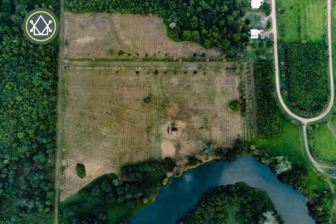 PL0035-the-orchard-13-of-70-scaled-800x0-c-center