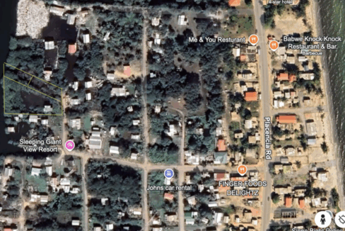 PL0036-satellite-view-800x0-c-center