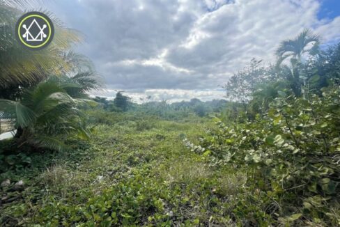 PL0055-Hokins-1-Acre-6-800x0-c-center