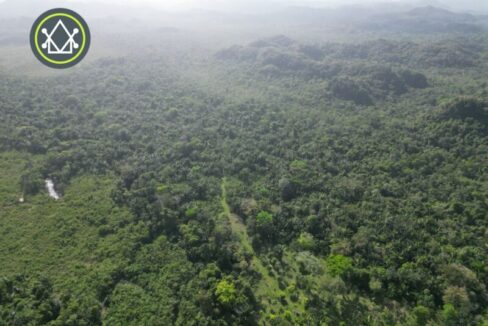 PL0162-Manatee-park-hills-drone-image-800x0-c-center