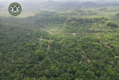 PL0162-Manatee-park-hills-scaled-800x0-c-center