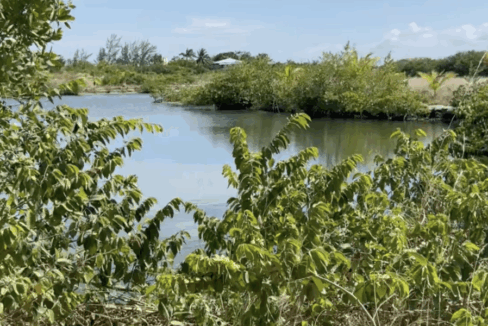 PL0175-Water-access-1170x600-c-center