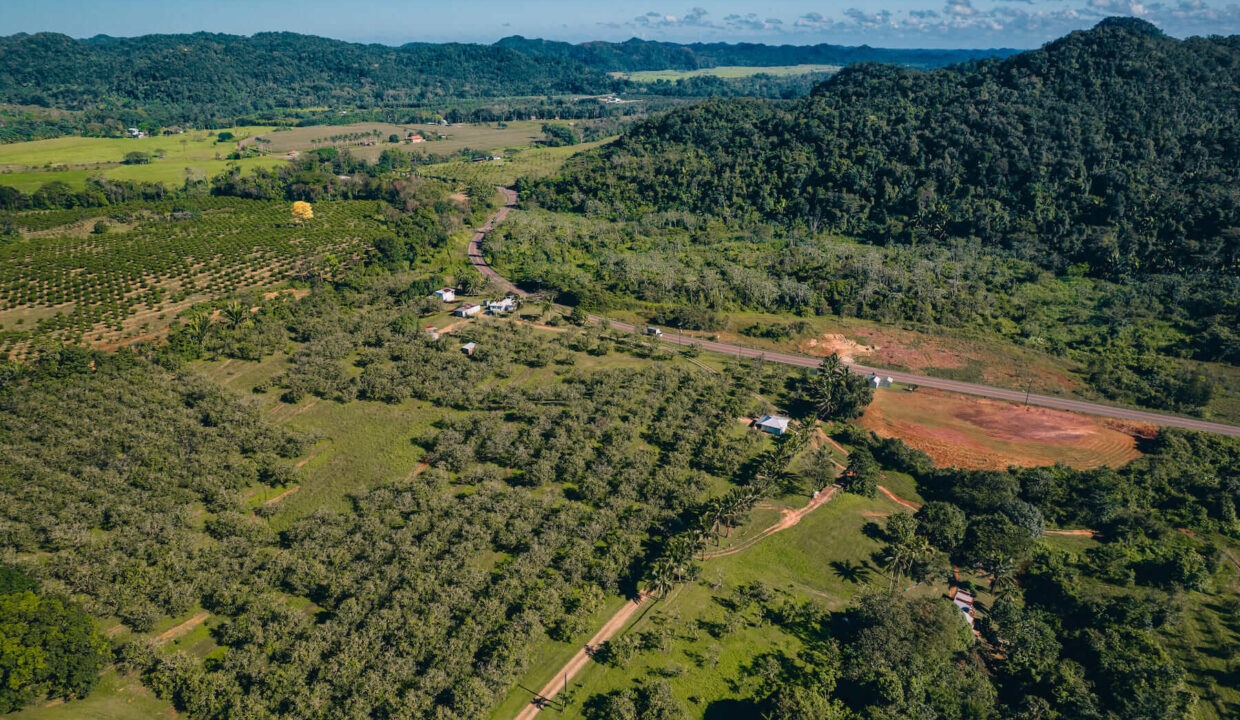 Parcel2014