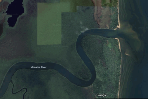 Showing-manatee-river-800x0-c-center
