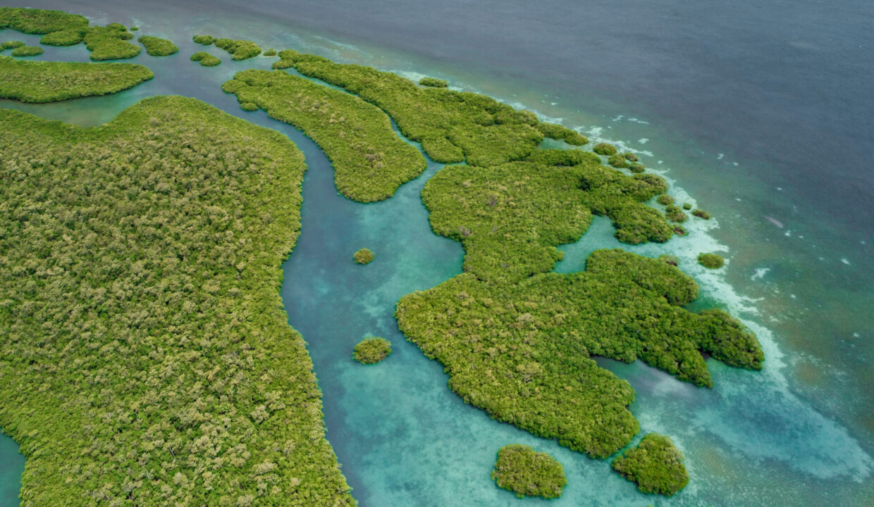 Water20Caye20Private20Island20For20Sale20in20Belize20Vista20Real20Estate2018