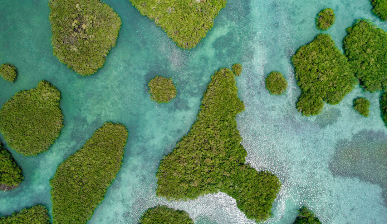Water20Caye20Private20Island20For20Sale20in20Belize20Vista20Real20Estate2019