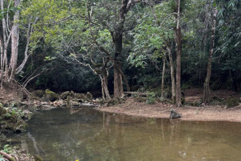 belize-moho-river