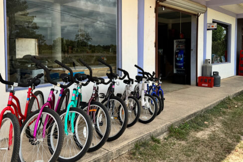 bike-rental