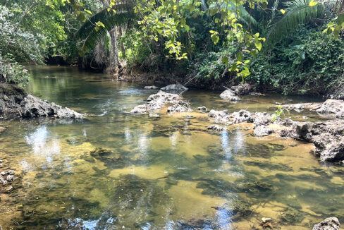 creek-view-from-excalibur-park
