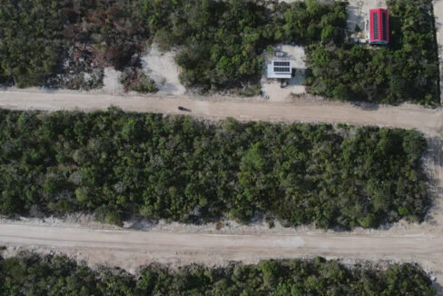 dji_fly_20250502_161503_0_1746224103406_photo_low_quality