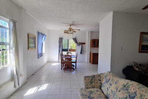 homeforsalebelize6web
