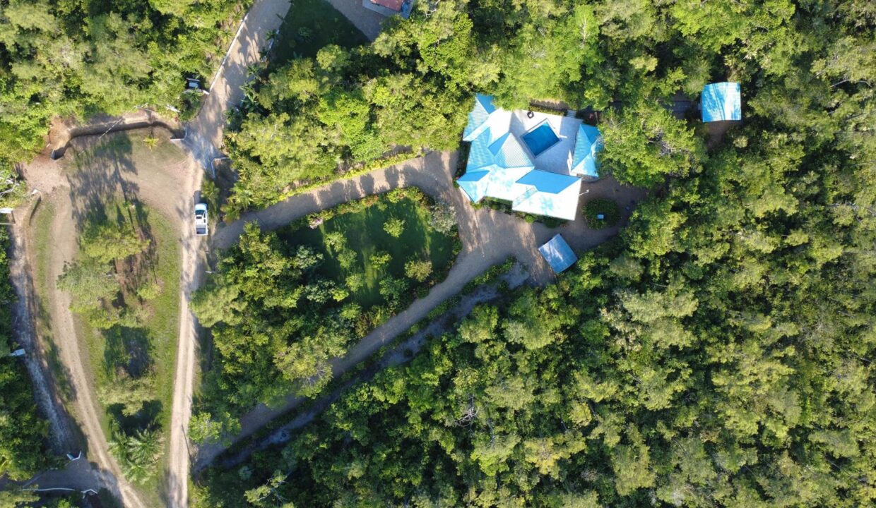 image (2)