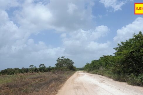 image-4-3
