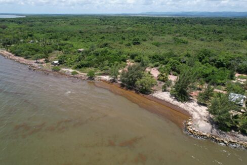 image (5)