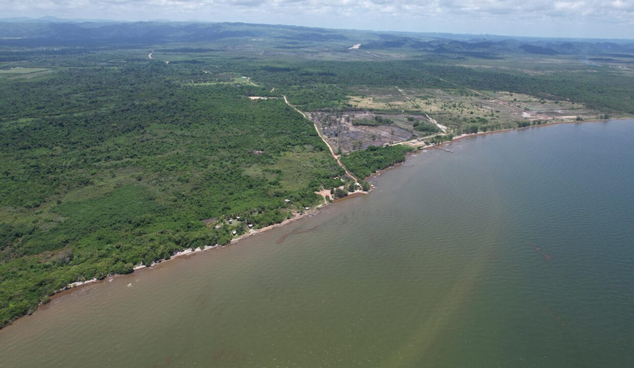 image (7)