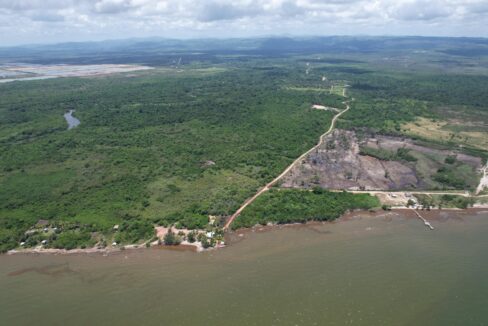 image (8)