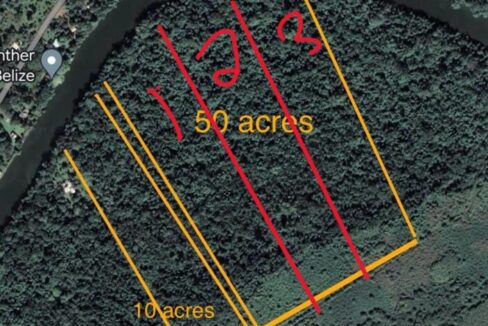 lobel-50-drone-lot-numbers-704x1024