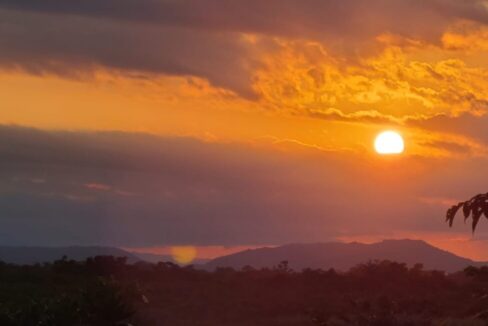 lot-49-sunset-1-1170x650