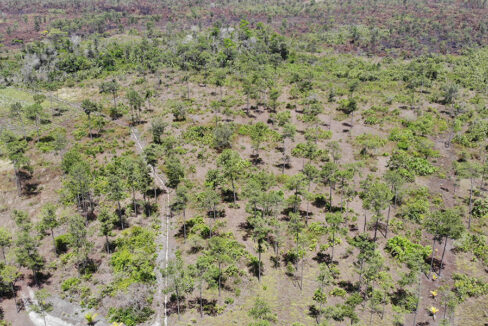 off-grid-property-belize