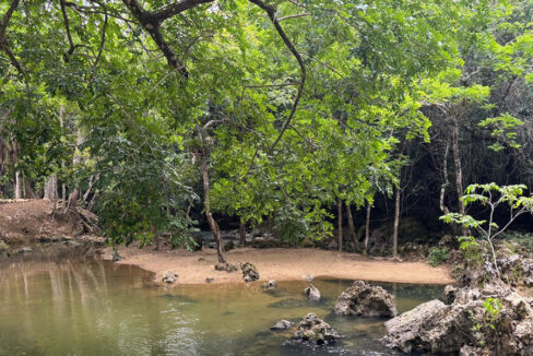 river-lots-for-sale-belize-moho