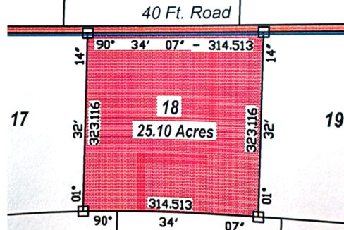 survey-map-farm-georgetown