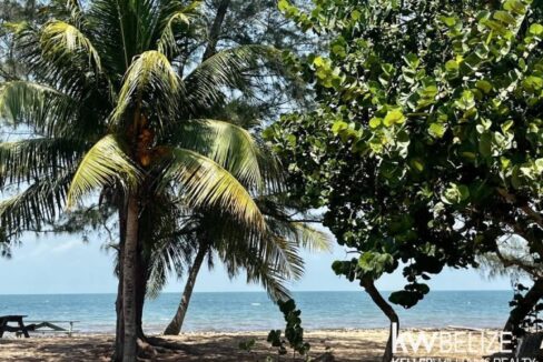 thumb_35863_800_500_0_0_crop