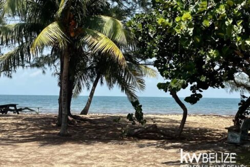 thumb_35879_800_500_0_0_crop