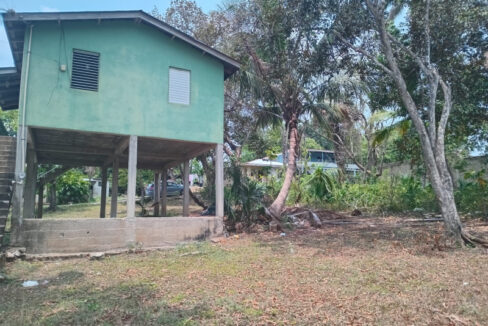 w6
