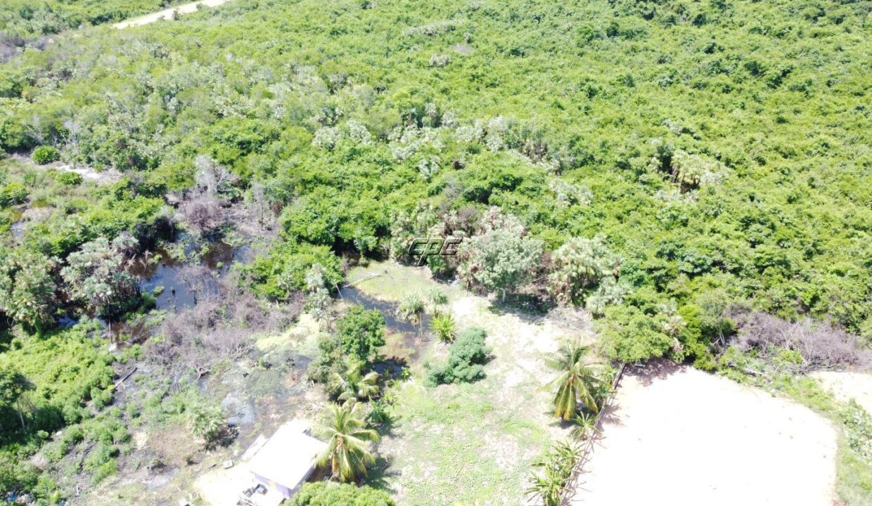 1203_DJI_0814