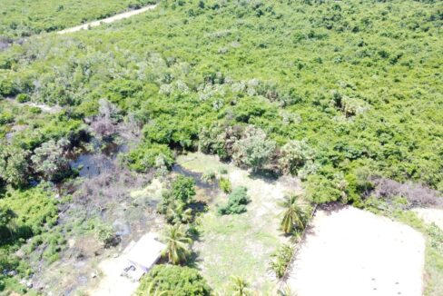 1203_DJI_0814