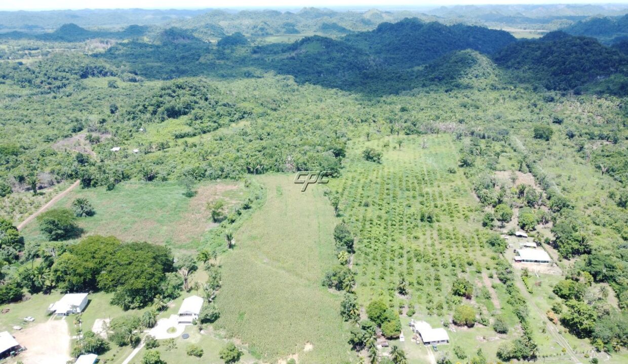 1203_DJI_0821