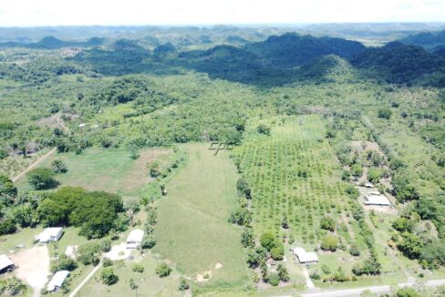 1203_DJI_0821
