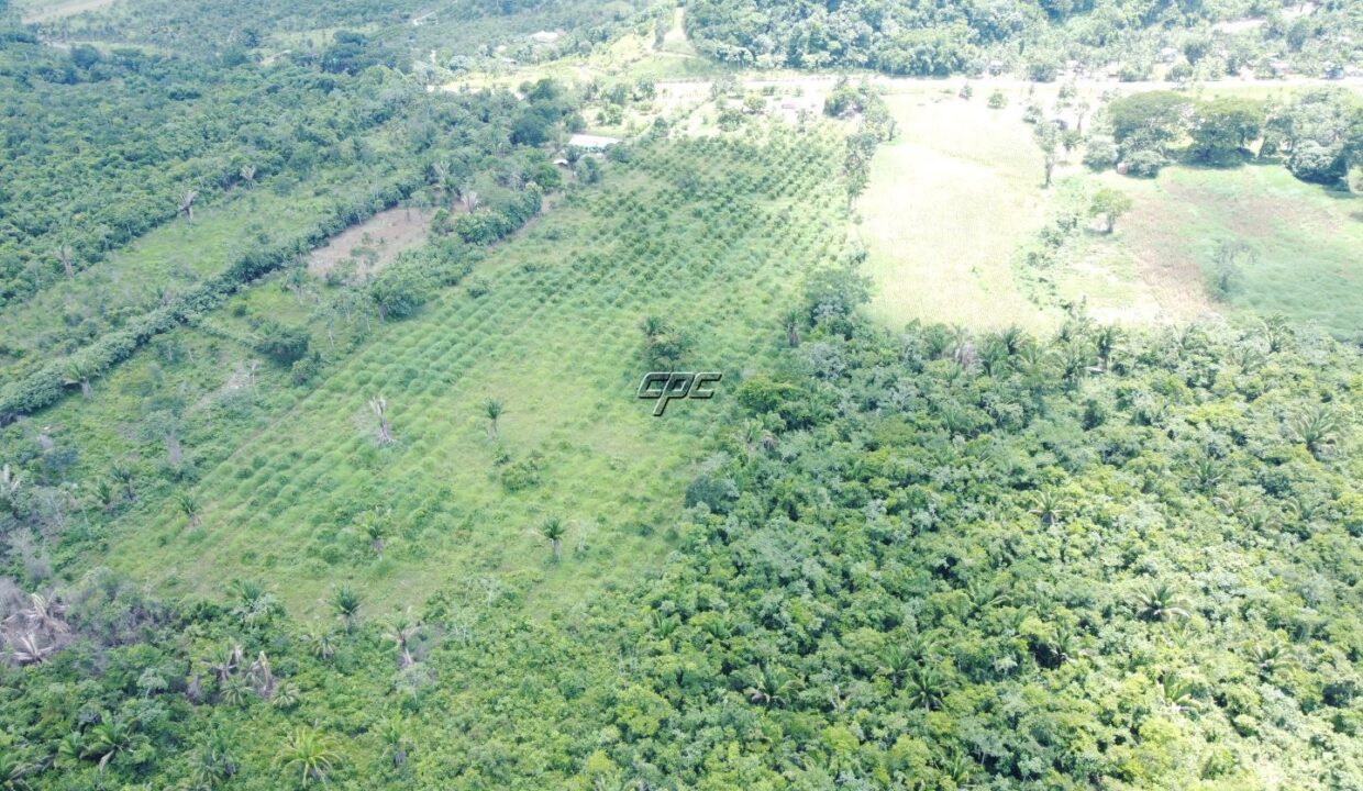1203_DJI_0824