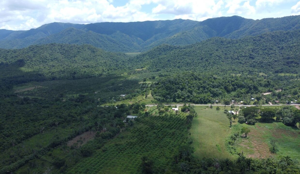 1203_DJI_0825