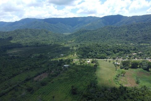 1203_DJI_0825