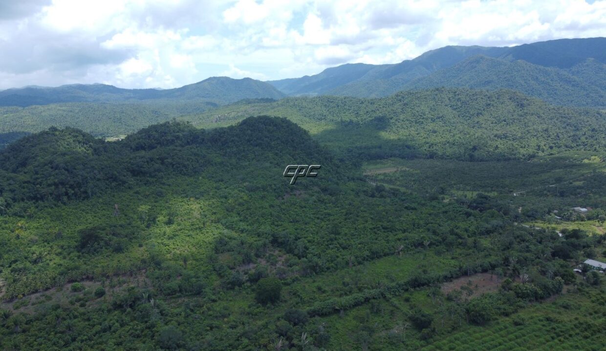 1203_DJI_0826
