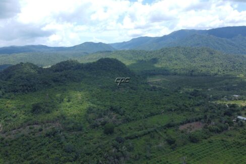 1203_DJI_0826