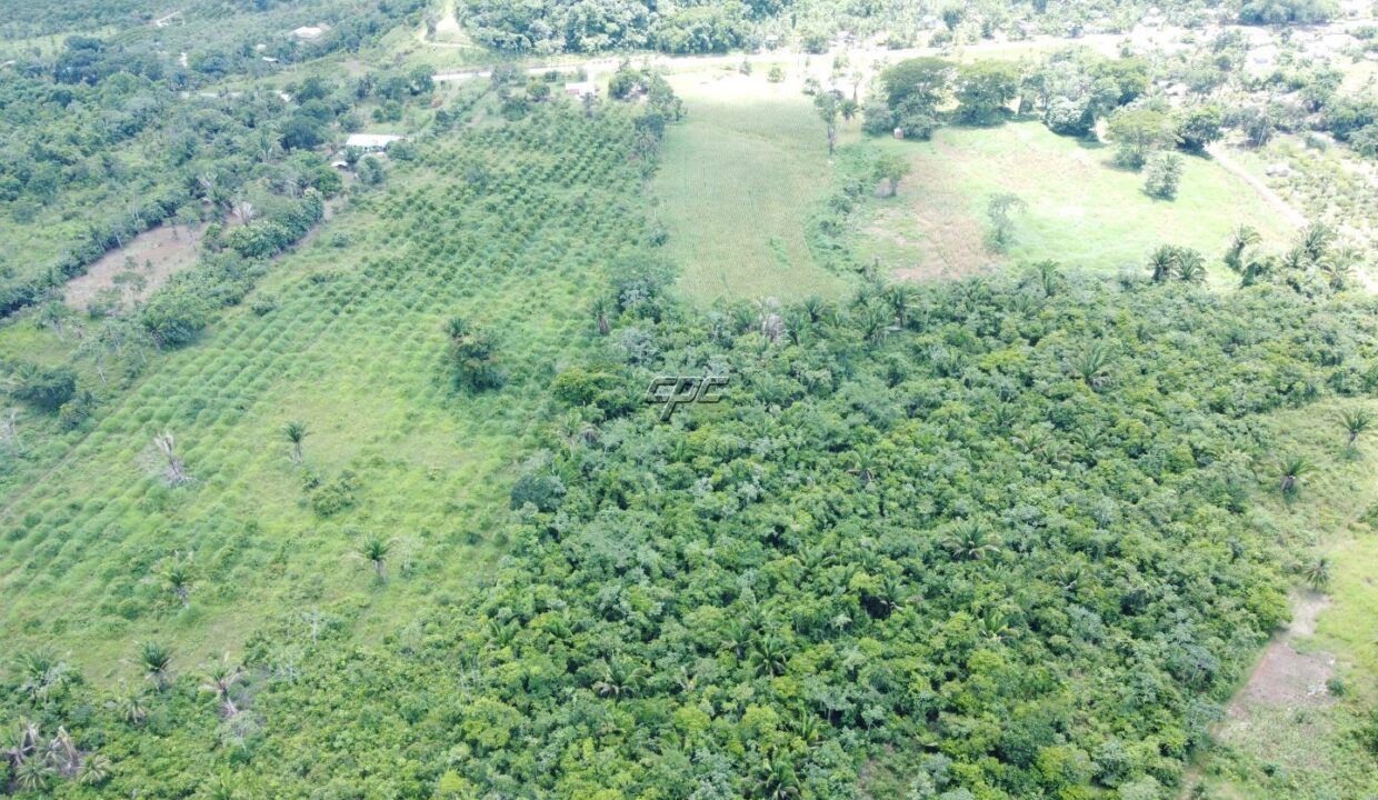 1203_DJI_0827