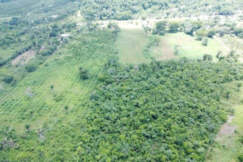 1203_DJI_0827