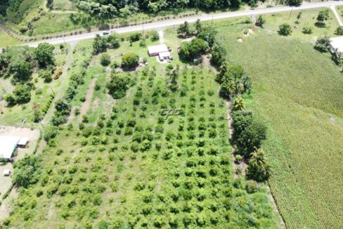 1203_DJI_0834